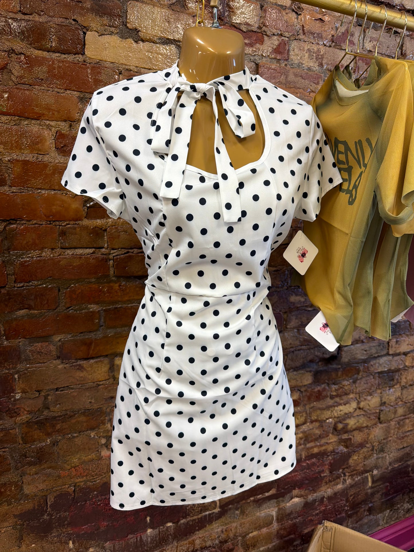 Miss Polka